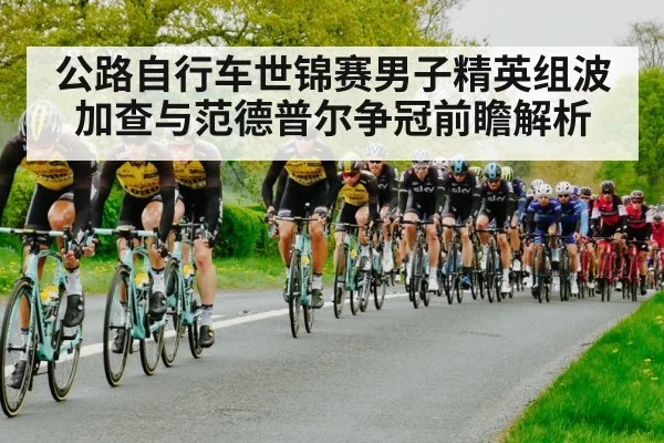 公路自行车世锦赛男子精英组波加查与范德普尔争冠前瞻解析