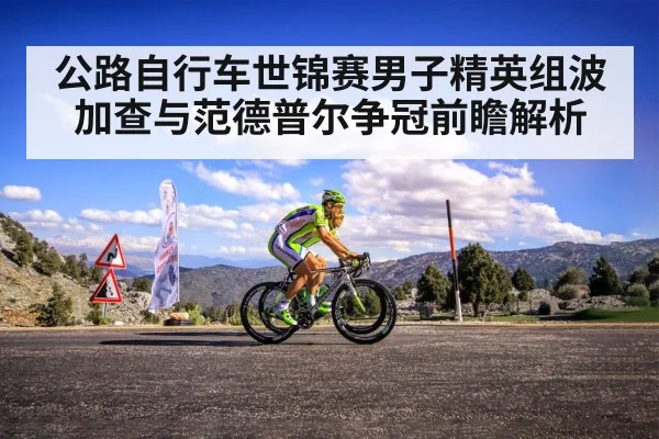 professional cyclist climbing mountain road